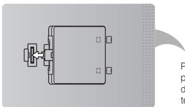 SAMSUNG PS51E8000GQ - Alloggiamento Evolution Kit (venduto separatamente) - 1