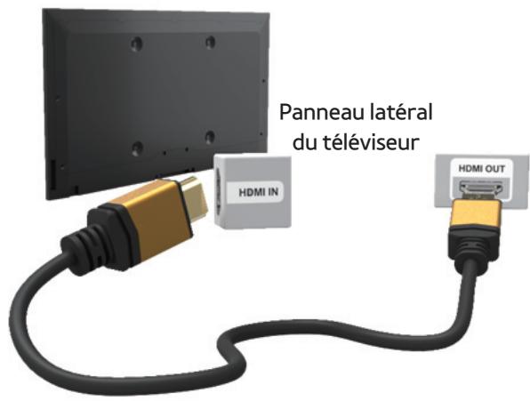 SAMSUNG UE46ES6300SXZF - Connexion à un périphérique AV - 2