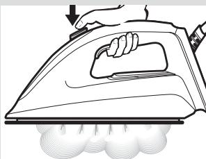 BOSCH TDS8080 PROHYGIENIC, TDS8040 - "Hygiene" programme * - 9