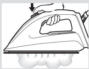 BOSCH TDS8080 PROHYGIENIC, TDS8040 - Programma "Hygiene" * - 9