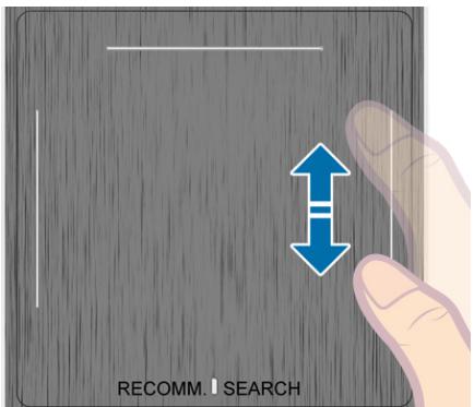RECOMM. SEARCH