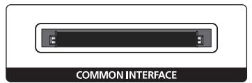 SAMSUNG UE40JU6670,  UE48JU6670,  UE55JU6670 - Connecting the “CI or CI+ Card” via COMMON INTERFACE slot - 1