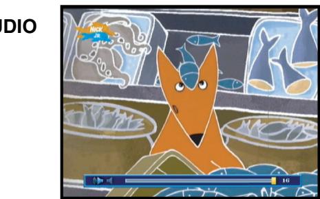 SAMSUNG DCB-H360RA - EPG-Electronic Program Guide - 1