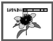 SAMSUNG DVD-HD860 - Foto-CD's afspelent - 1
