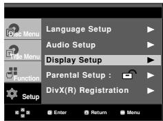 SAMSUNG DVD-HD860 - Setting Up the Display Options - 1