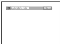 SAMSUNG DVD-HD860 - To play back using aspect ratio (DVD) - 1