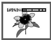 SAMSUNG DVD-HD860 - Picture CD Playback - 1