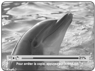 SAMSUNG DVD-HR730A - Appuyez sur le bouton OK ou ▶ pour sélectionner Démarrage, puis appuyez sur le bouton OK. - 1