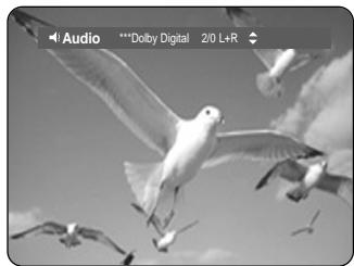 SAMSUNG DVD-HR730A - Using the AUDIO button - 1