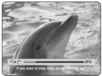 40 21% If you want to stop copy, press CANCEL key?