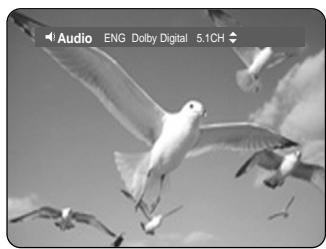 SAMSUNG DVD-HR735 - Using the AUDIO button - 2