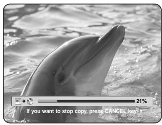 40 21% If you want to stop copy, press CANCEL key?