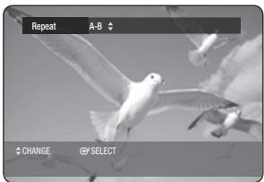 SAMSUNG DVD-HR770 - Playing Repeatedly (Repeat Playback) - 8