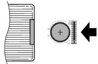 SAMSUNG DVD-L100WA - De batterij in de afstandsbediening plaatsen - 2