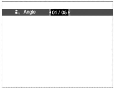 SAMSUNG DVD-L100WA - Taste ANGLE verwenden - 1