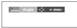 SAMSUNG DVD-P171 - Using the ANGLE button (DVD) - 1