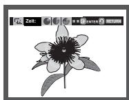 SAMSUNG DVD-P171 - Slide Show - 5
