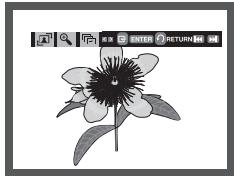 SAMSUNG DVD-P171 - Picture CD Playback - 1