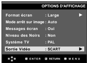 OPTIONS D'AFFICHAGE Format écran : Large Mode arrêt sur image : Auto Messages écran : Oui Niveau des Noirs : Non Système TV : PAL Sortie Vidéo : SCART