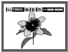 SAMSUNG DVD-P355 - Slide Show - 1