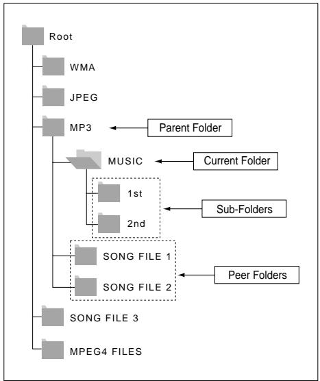 SAMSUNG DVD-P355 - Folder Selection - 1