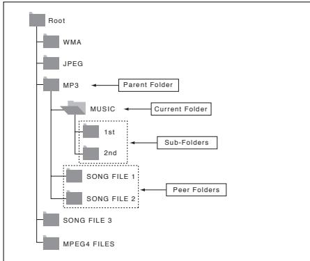 SAMSUNG DVD-P365 - Folder Selection - 1