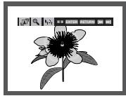 SAMSUNG DVD-P370 - Picture CD Playback - 1