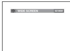 SAMSUNG DVD-P375 - Adjusting the Aspect Ratio (EZ View) - 1