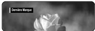 SAMSUNG DVD-R100E - Utilisation de la dernière marque - 3