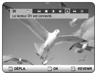 SAMSUNG DVD-R121 - Avant de commencer - 3
