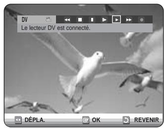 SAMSUNG DVD-R125P - Avant de commencer - 3