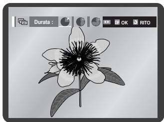 SAMSUNG DVD-V6700S - Zoom - 2
