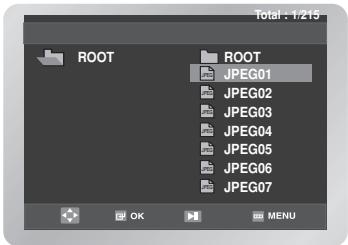 Total : 1/215 ROOT ROOT JPEG01 JPEG02 JPEG03 JPEG04 JPEG05 JPEG06 JPEG07 OK MENU