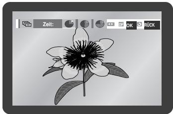SAMSUNG DVD-V6700S - Diashow - 1