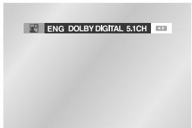 SAMSUNG DVD-V80 - Selecting the Audio Language - 1