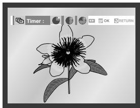 SAMSUNG DVD-V80 - Picture CDPlayback - 7
