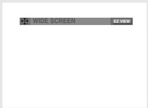 SAMSUNG DVD-V9500 - Press the EZ VIEW button. - 2