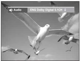 SAMSUNG DVD-VR330 - Press the AUDIO button during playback. - 1
