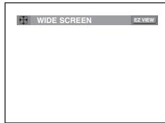 SAMSUNG DVD-1080PR - To play back using aspect ratio (DVD) - 1
