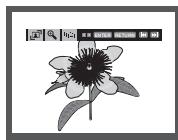 SAMSUNG DVD-1080PR - Lecture De CD Image - 1