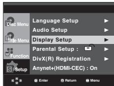 SAMSUNG DVD-1080PR - Setting Up the Display Options - 1