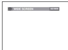 SAMSUNG DVD-F1080W - To play back using aspect ratio (DVD) - 1