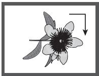 SAMSUNG DVD-H1080 - Picture CD Playback - 2