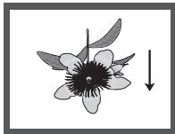 SAMSUNG DVD-H1080 - Picture CD wiedergeben - 3