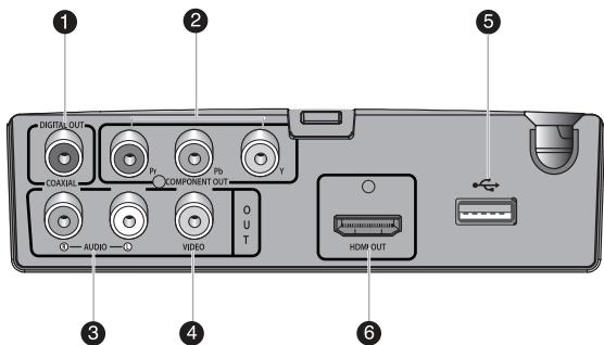 SAMSUNG DVD-H1080 - Rear Panel - 1
