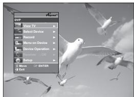 SAMSUNG DVD-H1080 - Setting Up Anynet+(HDMI-CEC) - 3