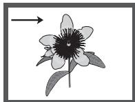 SAMSUNG DVD-H1080 - Foto-CD's afspelen - 4