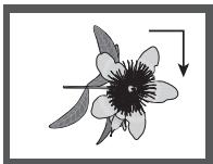 SAMSUNG DVD-H1080 - Foto-CD's afspelen - 2