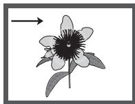 SAMSUNG DVD-H1080 - Rotation - 3