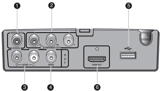 1 DIGITAL OUT COAXIAL DV COMPONENT OUT Y AUDIO VIDEO OUT 3 4 6 5 HDMI OUT